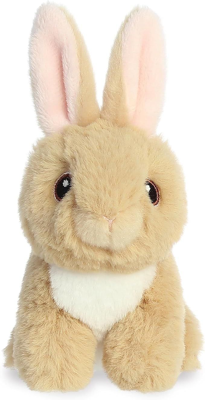 Aurora® Eco-Friendly Eco Nation™ Mini Tan Bunny Stuffed Animal - Environmental Consciousness -... | Amazon (US)