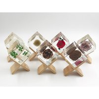 Plant in Cube Resin With Holder, Flower Specimen Home Decoration, Desk Biology Science Teacher Education, Flower, Clover | Etsy (US)