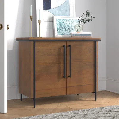 Easterwood Iron 2 - Door Accent Cabinet | Wayfair North America
