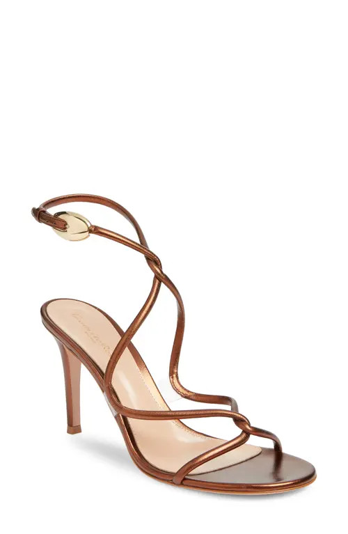 Gianvito Rossi Black Mamba Sandal in Chocolate at Nordstrom, Size 8.5Us | Nordstrom