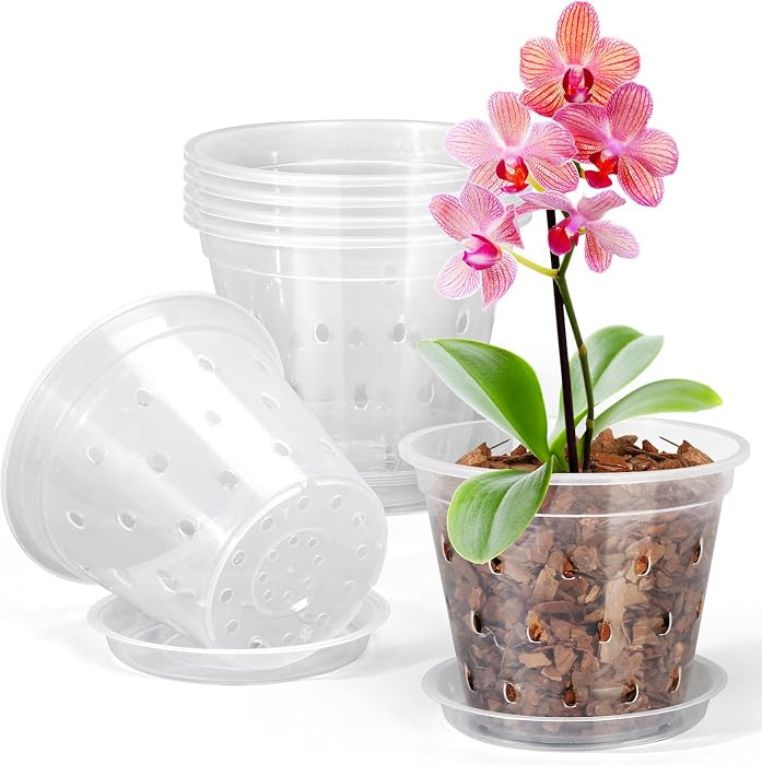 Orchid Pot, 6 Pack 4 Inch (Top Diameter) Clear Orchid Pots with Holes and Saucers for Repotting, ... | Amazon (US)