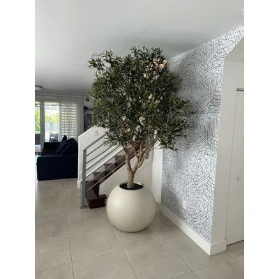 Artificial Olive Tree 30" Globe Planter | Wayfair North America