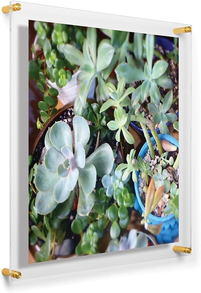 Wexel Art 20x20" Clear UV Grade Acrylic Floating Picture Frame Double Panel Photo Display with Go... | Amazon (US)