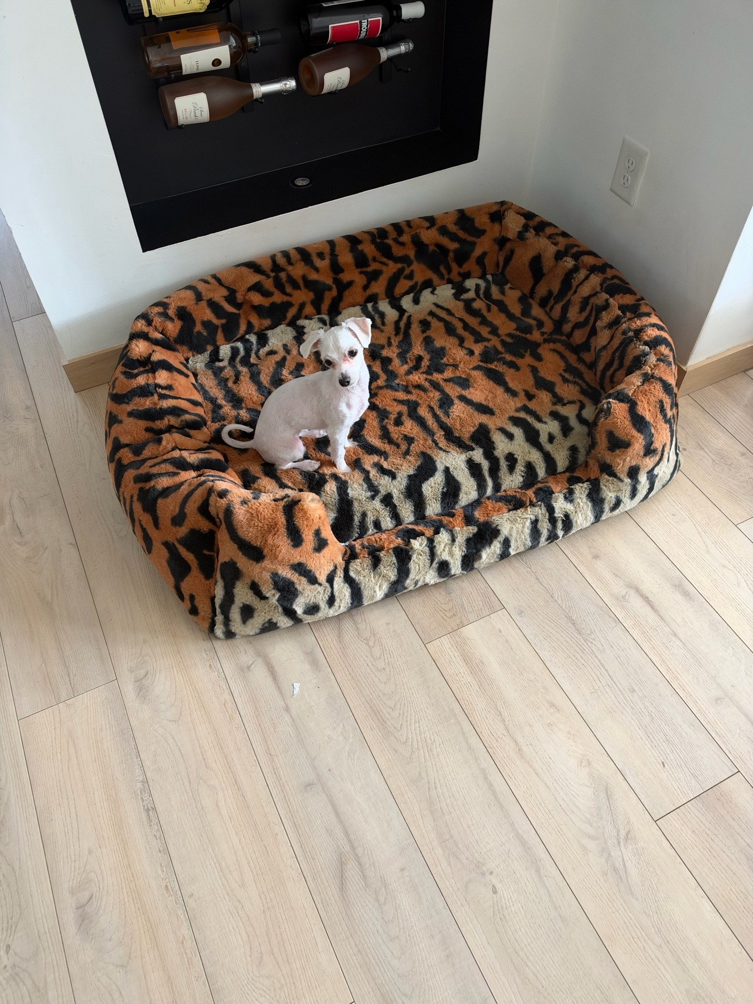 New dog bed, it’s so luxe