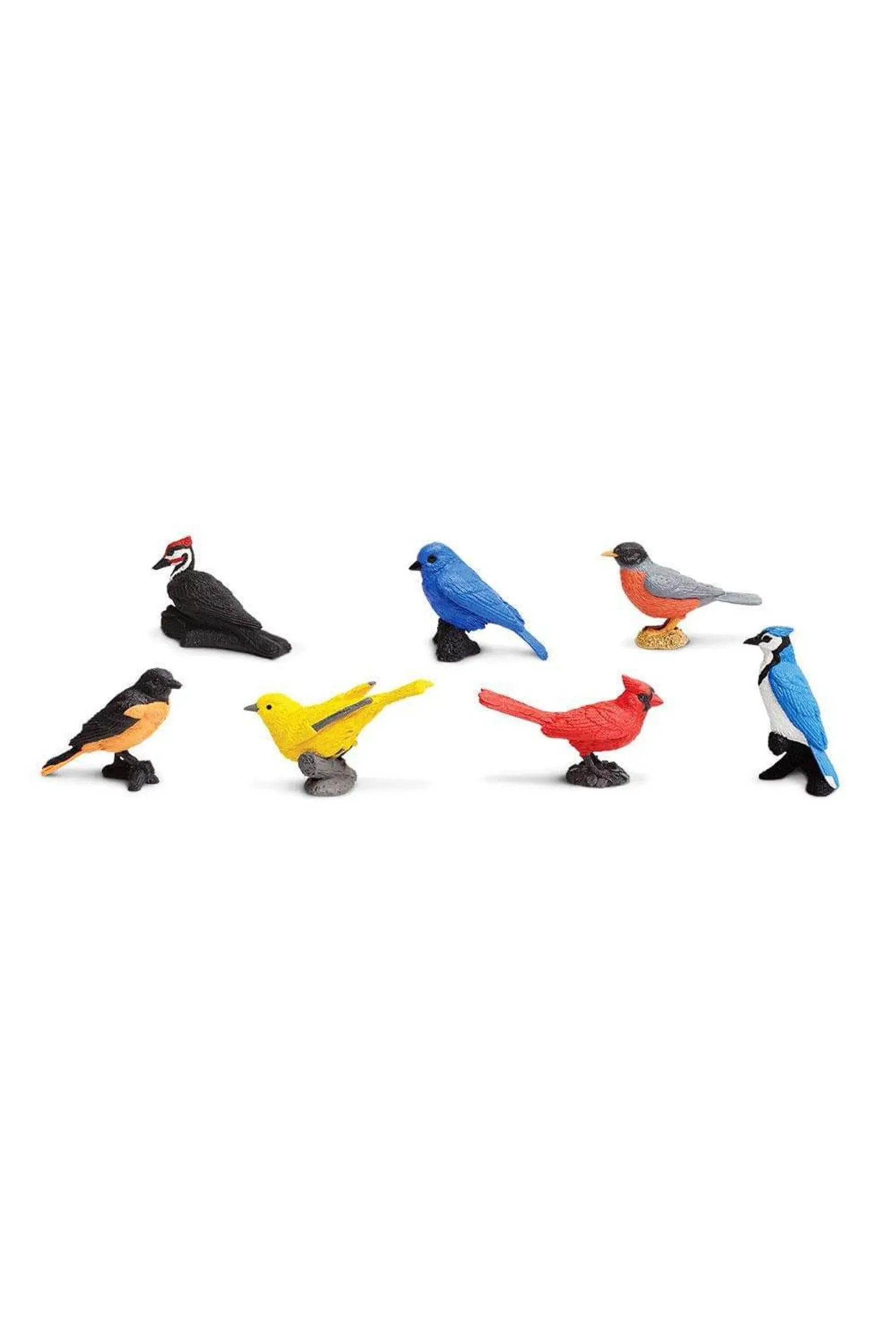 Safari Ltd. Backyard Birds Toy | Nordstrom | Nordstrom