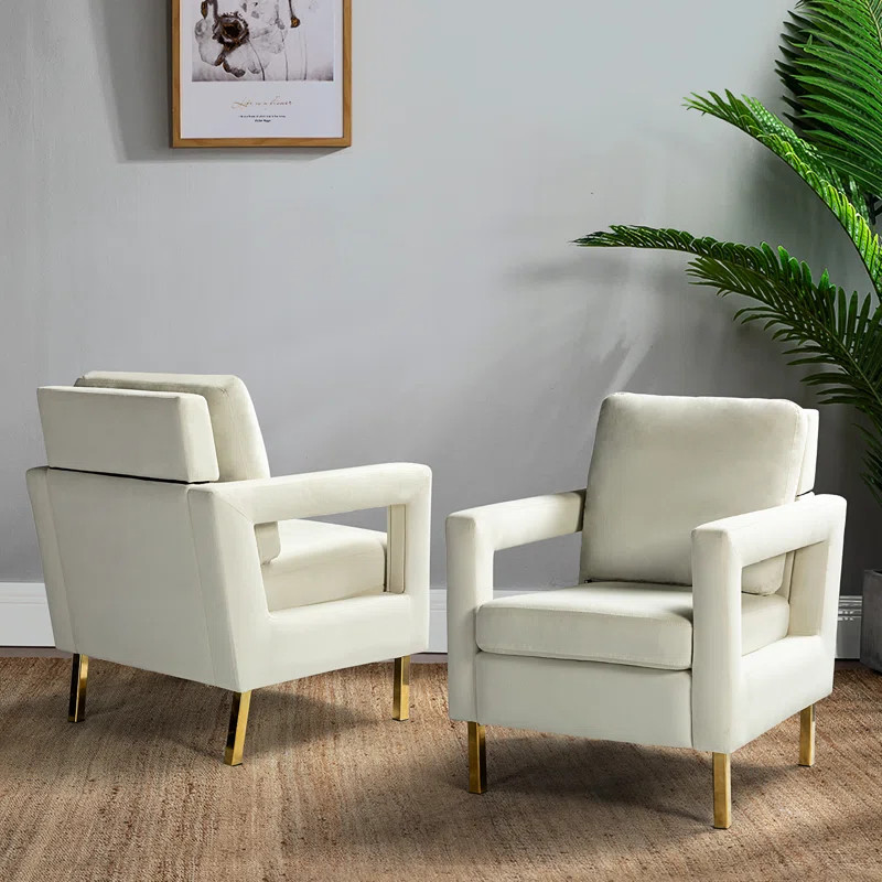 Clayne Velvet Armchair | Wayfair North America