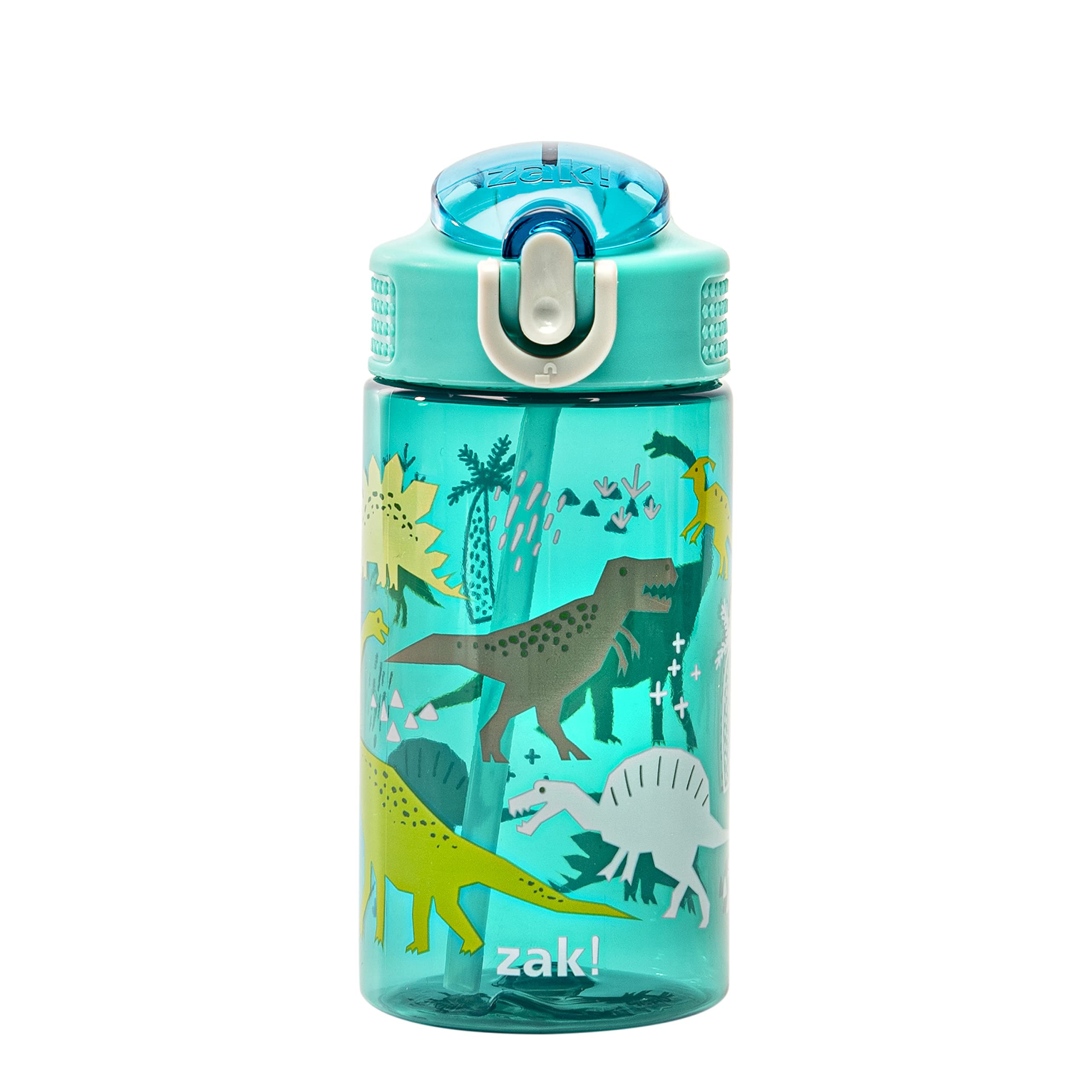 Zak Designs Kids Water Bottle For School or Travel, 16oz Durable Plastic Water Bottle With Straw,... | Amazon (US)