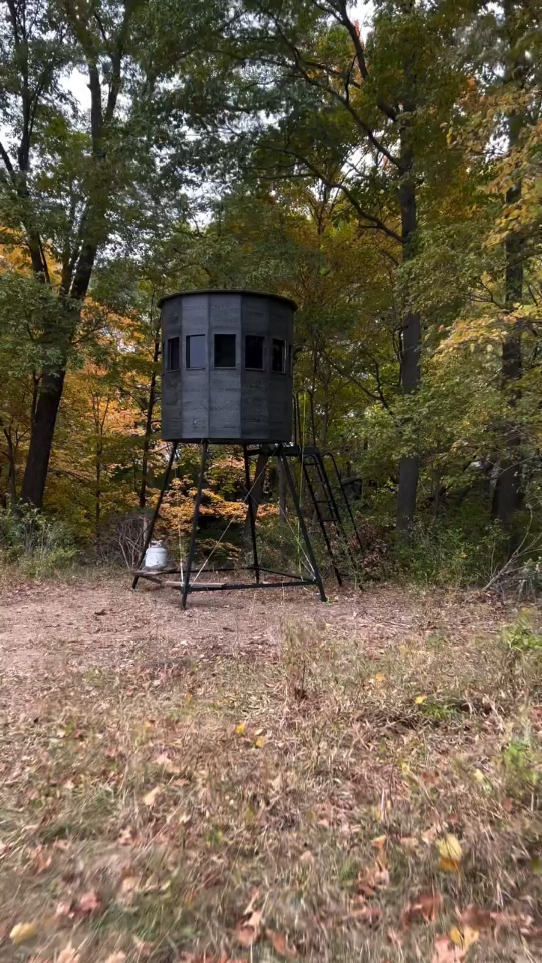 Watch out deer, the diva’s home.

#yourfavoriteinfluencerinthewild #illinoisfarms #360huntingblinds #millenniumtreestands