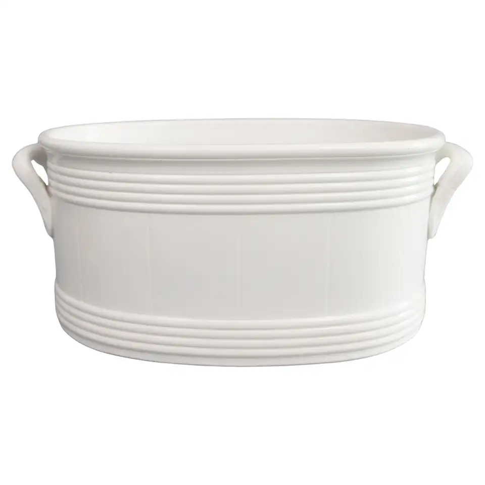 19th Century Belgian White Ironstone Foot Bath Jardiniere Centerpiece | 1stDibs