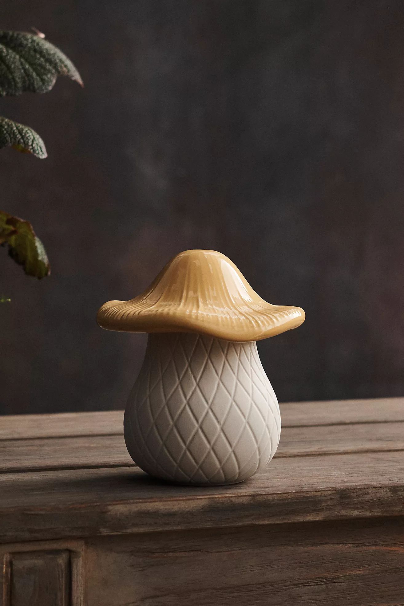 Mushroom Ceramic Jar, Cream | Anthropologie (US)