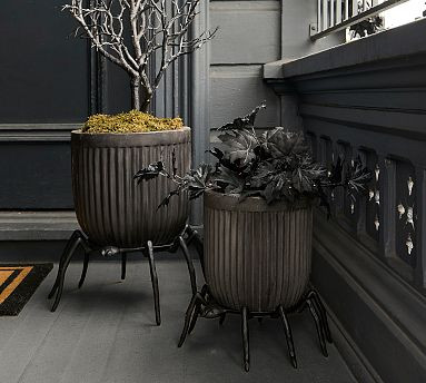 Spider Plant Stand | Pottery Barn (US)