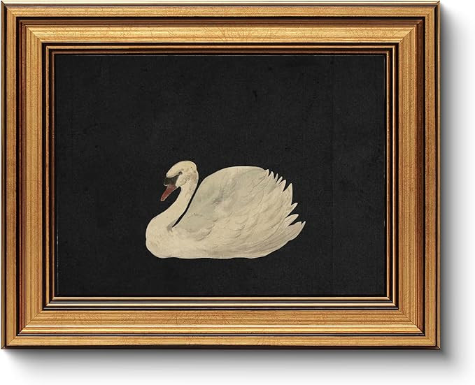 HUARCEY Gold Framed Vintage Wall Art for Living Room, Grace Swan Art Painting Pictures Rustic Ani... | Amazon (US)