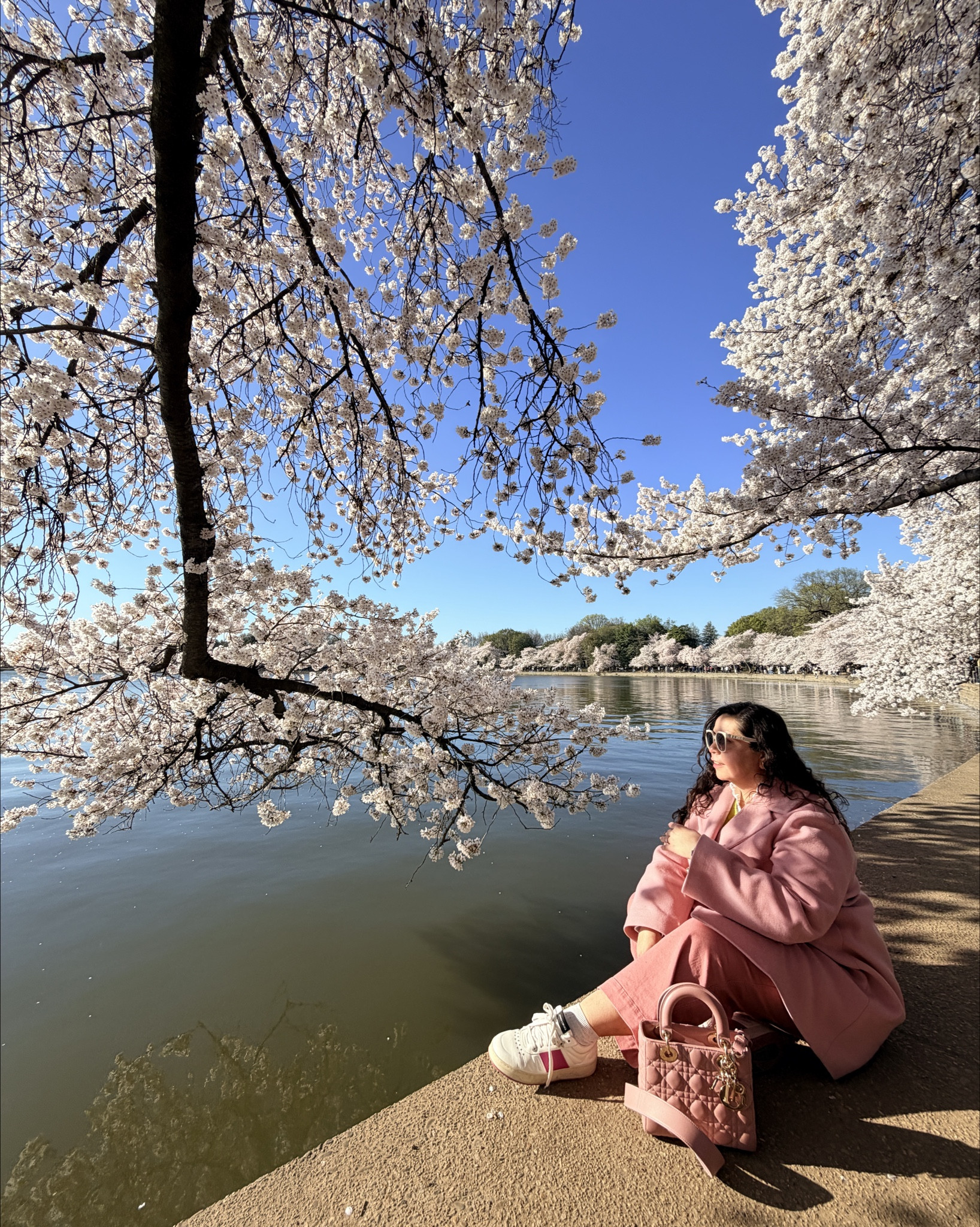 Pink outfit for cherry blossom season 🌸
The perfect early spring weekend look that feels soft, elevated, and easy to recreate.
I’m wearing my petite pink pants (no hemming needed and such a flattering fit), paired with my Kate Spade coat that transitions seamlessly from winter to spring and instantly pulls everything together.
Added a chartreuse vest for a fresh pop of color and layered it over a classic white button down (a true wardrobe staple you’ll wear year-round).
This is one of those outfits that works for walking, sightseeing, or a relaxed weekend while still looking put together.
Linking the exact pants and shirt + similar pieces to recreate this color story.

#LTKOver40 #LTKPetite #LTKootd