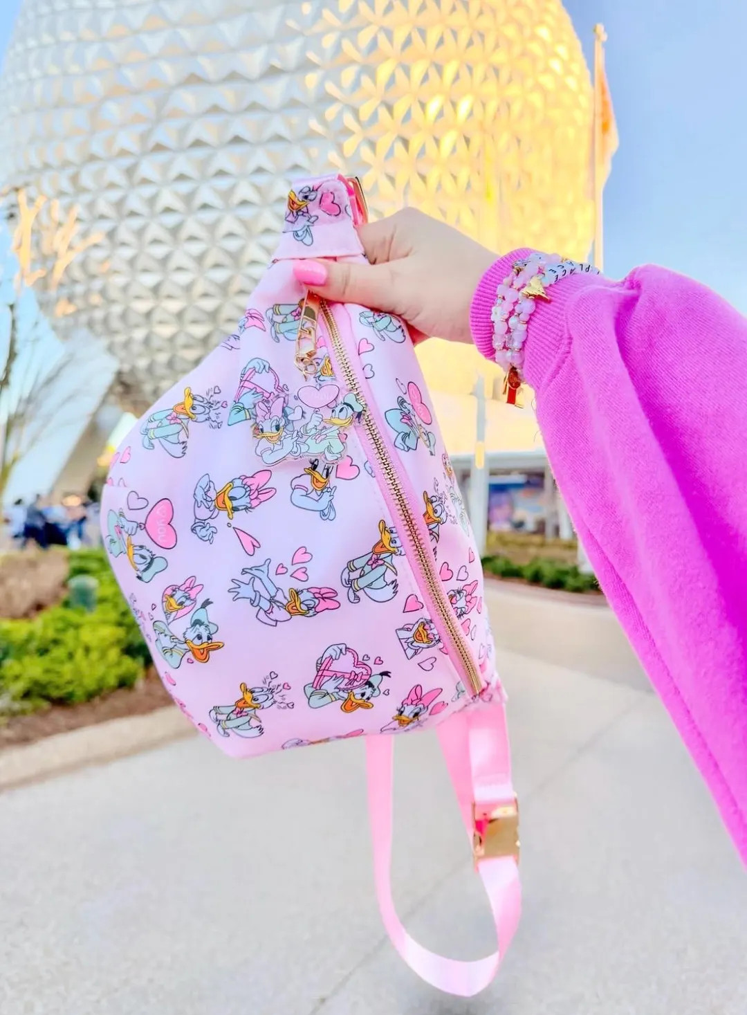 Ducks in Love Fanny Pack, Daisy Duck Fanny Pack, Donald Duck Fanny Pack, Disney Fanny Pack, Micke... | Etsy (US)