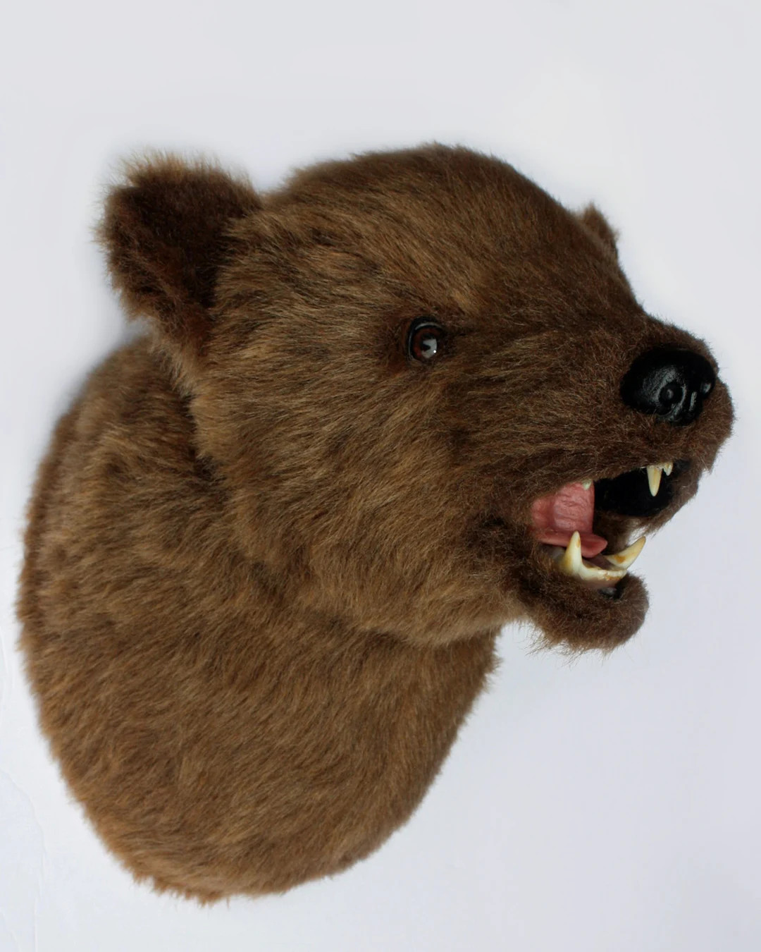 Plush Kodiak Bear Head shash Large Wall Mount - Etsy | Etsy (US)