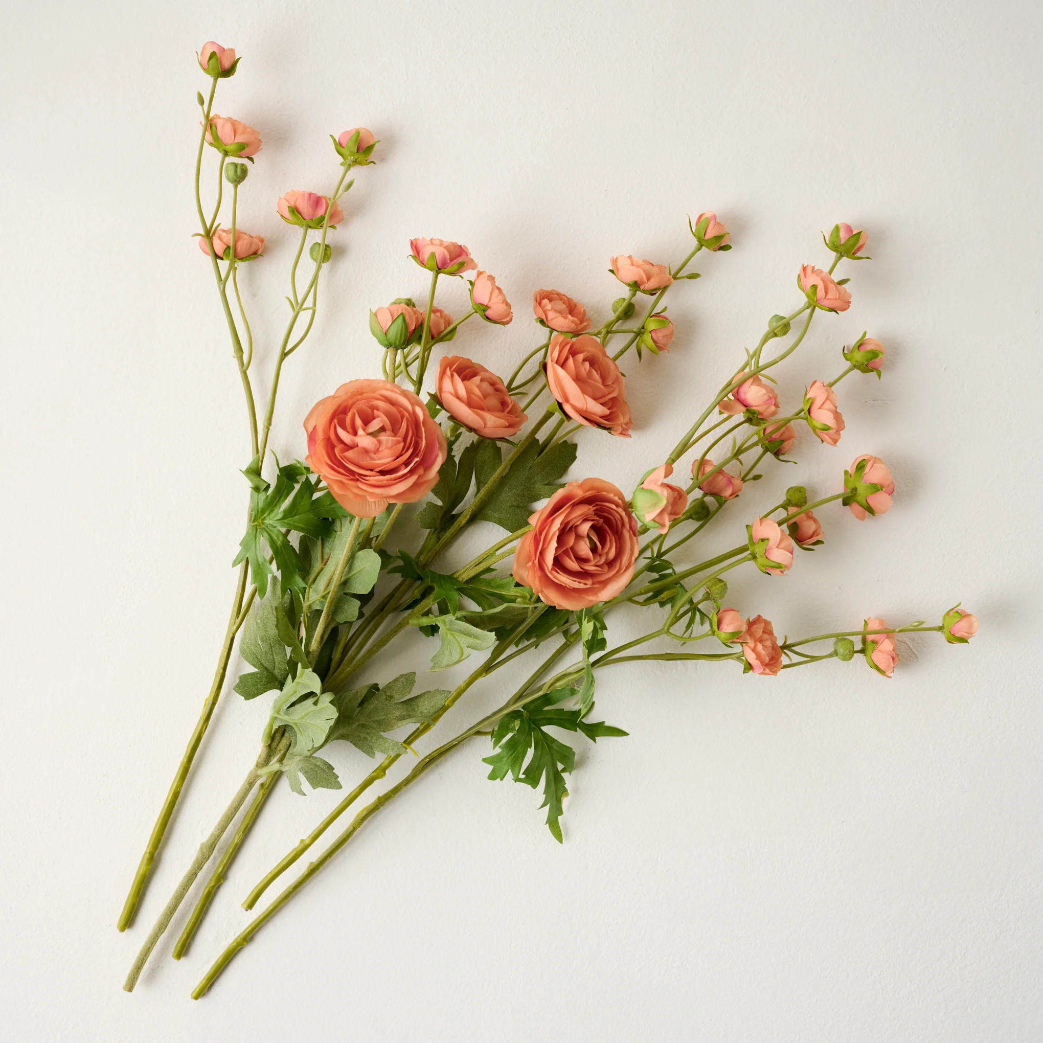 Ranunculus Bloom Bundle | Magnolia