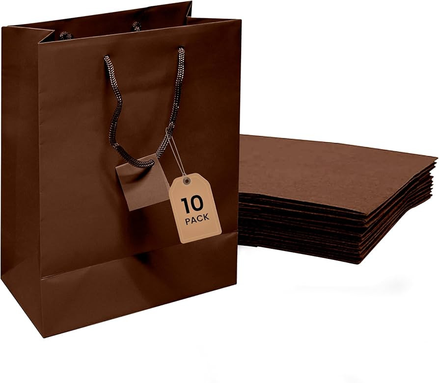 Novel Box Brown Gift Bags with Handles 10 Pack 8x4x10 Inches Large Paper Bulk Gift Bags for Busin... | Amazon (US)