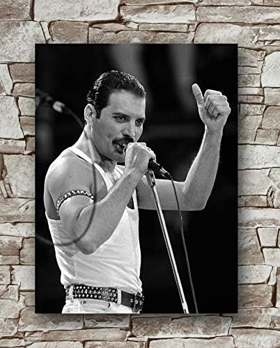 Freddie Mercury Poster Size 18 Inches X 24 Inches,Freddie Mercury Posters Wall Poster Print | Amazon (US)