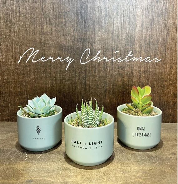 Personalized Mini Succulent Gift | Sage Green | LIVE SUCCULENT INCLUDED | Christmas Gifts for Fri... | Etsy (US)