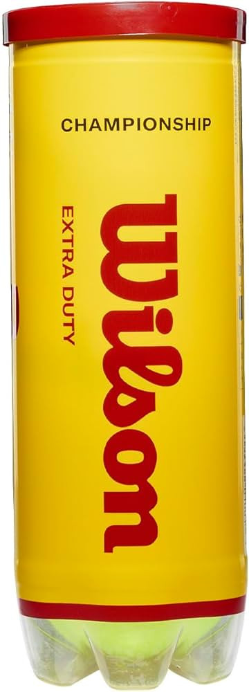 WILSON Championship Tennis Balls | Amazon (US)