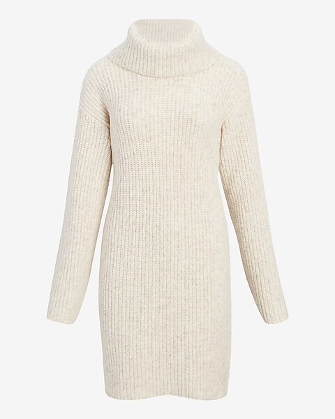 Ribbed Turtleneck Long Sleeve Mini Sweater Dress | Express