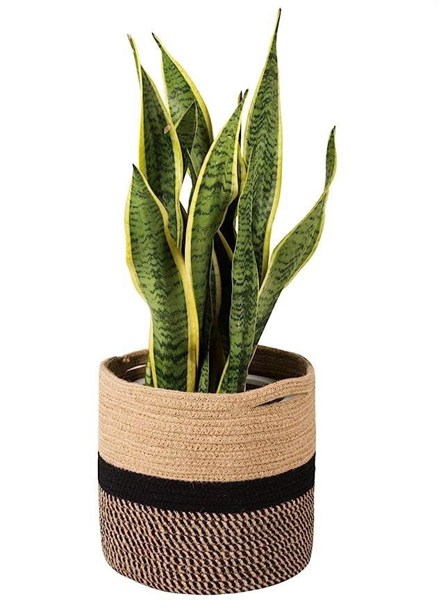TIMEYARD Sturdy Jute Rope Plant Basket Modern Woven Basket for 10" Flower Pot Floor Indoor Plante... | Amazon (US)
