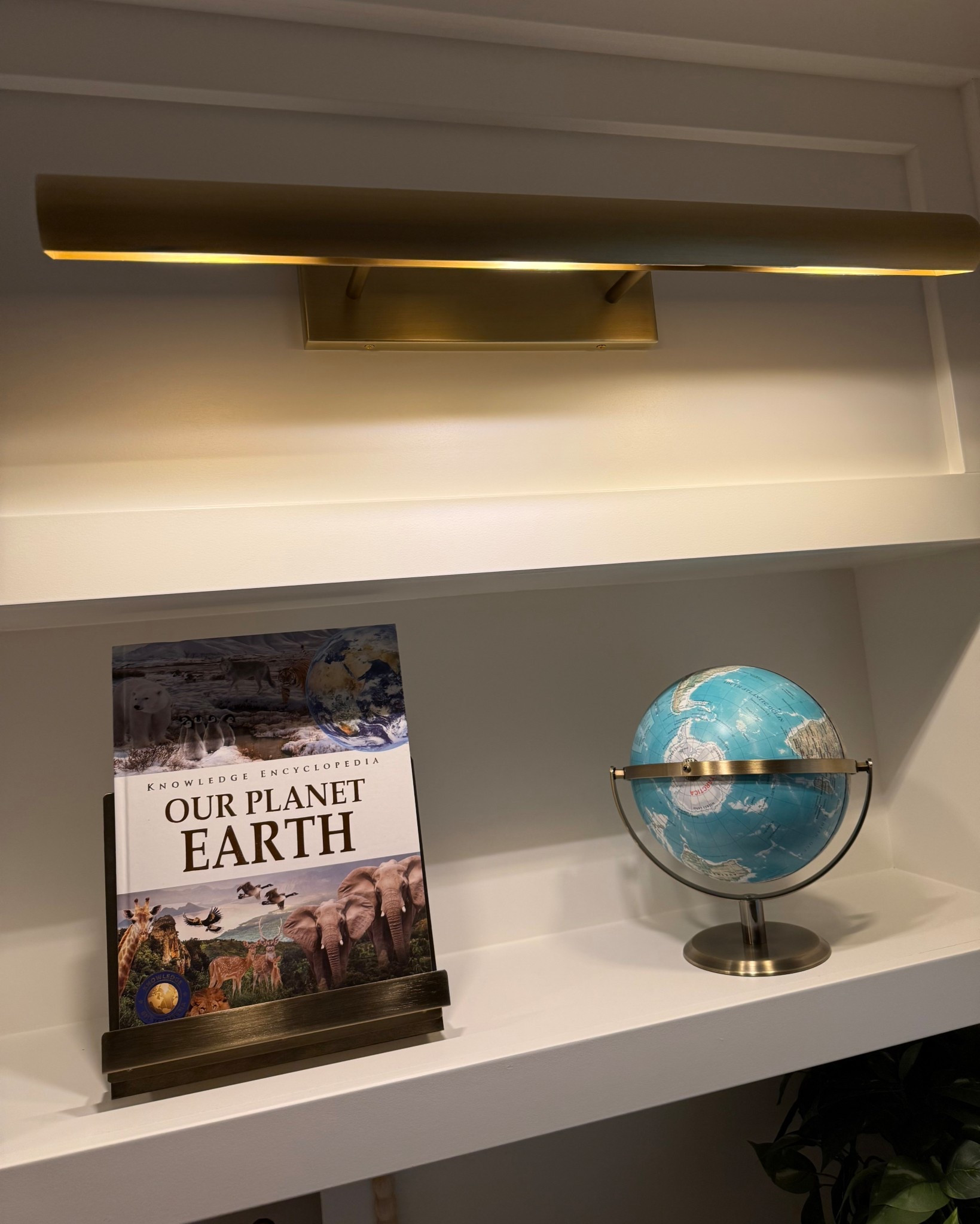 Amazon home decor styled on our playroom shelves and add the perfect neutral touch to a kid friendly space.
#AmazonHome #NeutralHomeDecor #PlayroomShelfStyling #DecorBooks #ShelfStyling



#LTKKids #LTKFamily #LTKHome