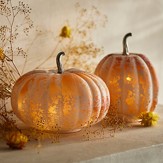 Glass Pumpkin, Frosted Orange | Terrain