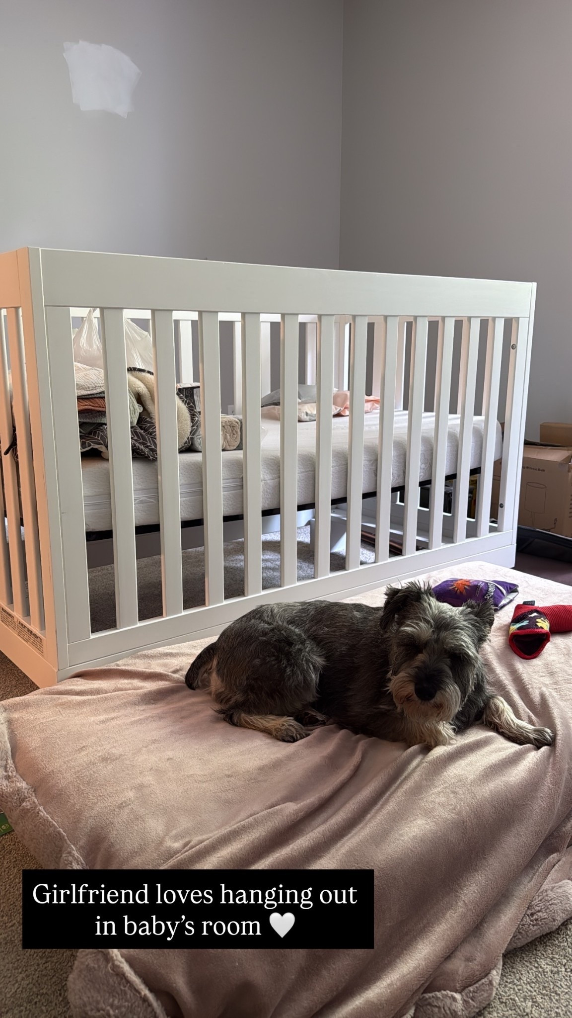 Girlfriend loves hanging out in baby’s room 🤍

#LTKmomlife #LTKdayinmylife #LTKHome