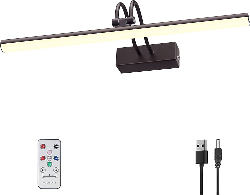 RAIFOOLLY Picture Light, 16in Battery Picture Lights for Paintings,Metal Display Art Light with T... | Amazon (US)