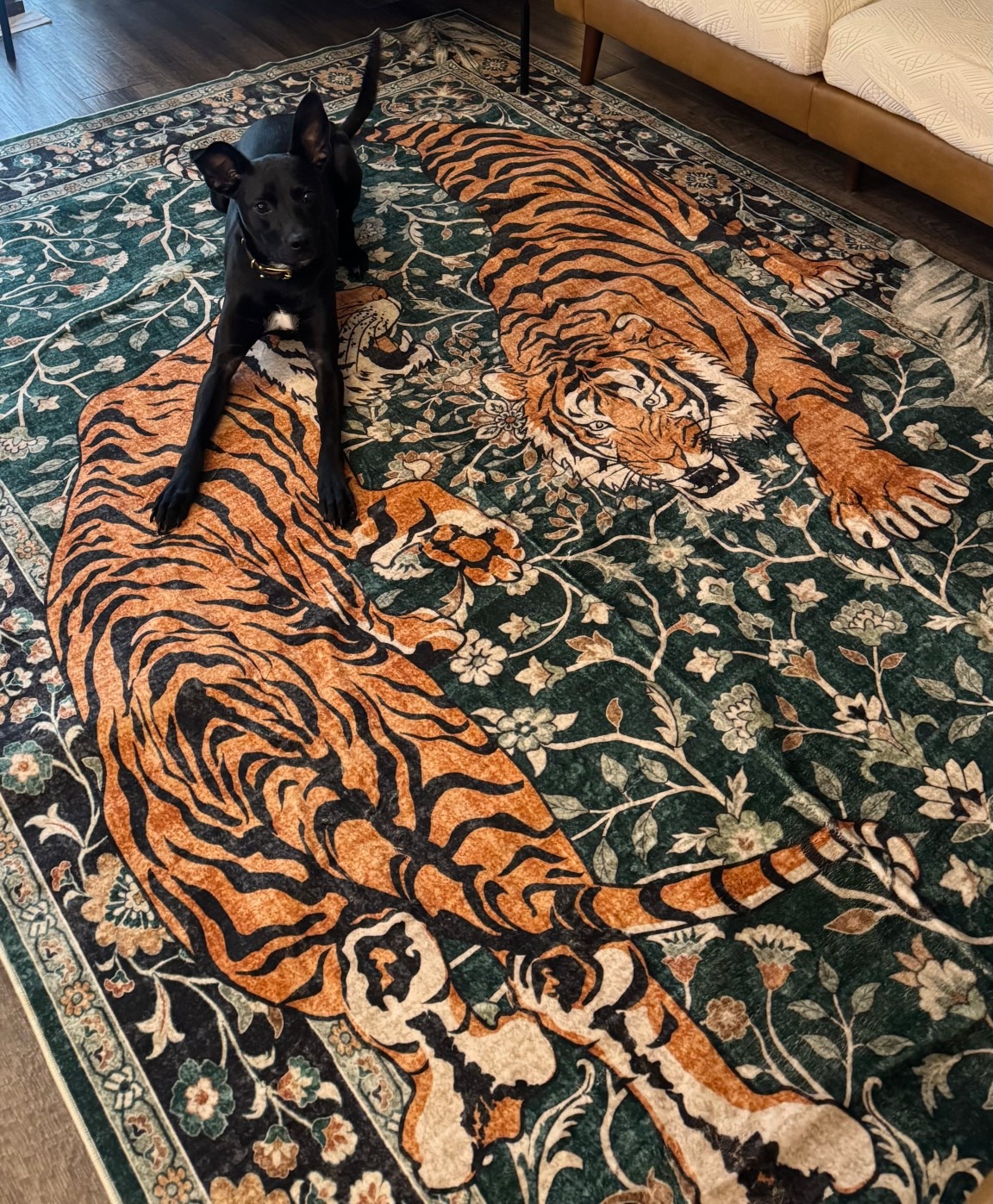 New rug, who this? 😍😍 Luna approved! 