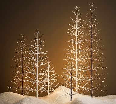 Pre-Lit Twinkling Twig Trees | Pottery Barn (US)