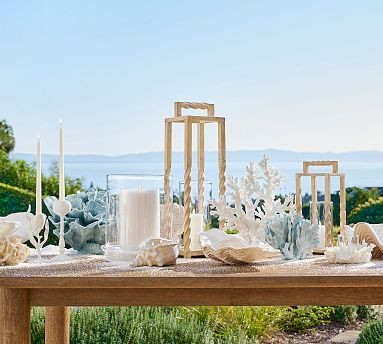Faux Coral Collection | Pottery Barn (US)