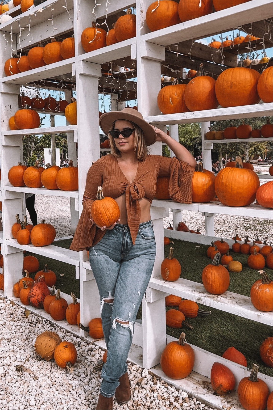 Pumpkin Patch Aesthetic 


#LTKSeasonal #LTKHalloween