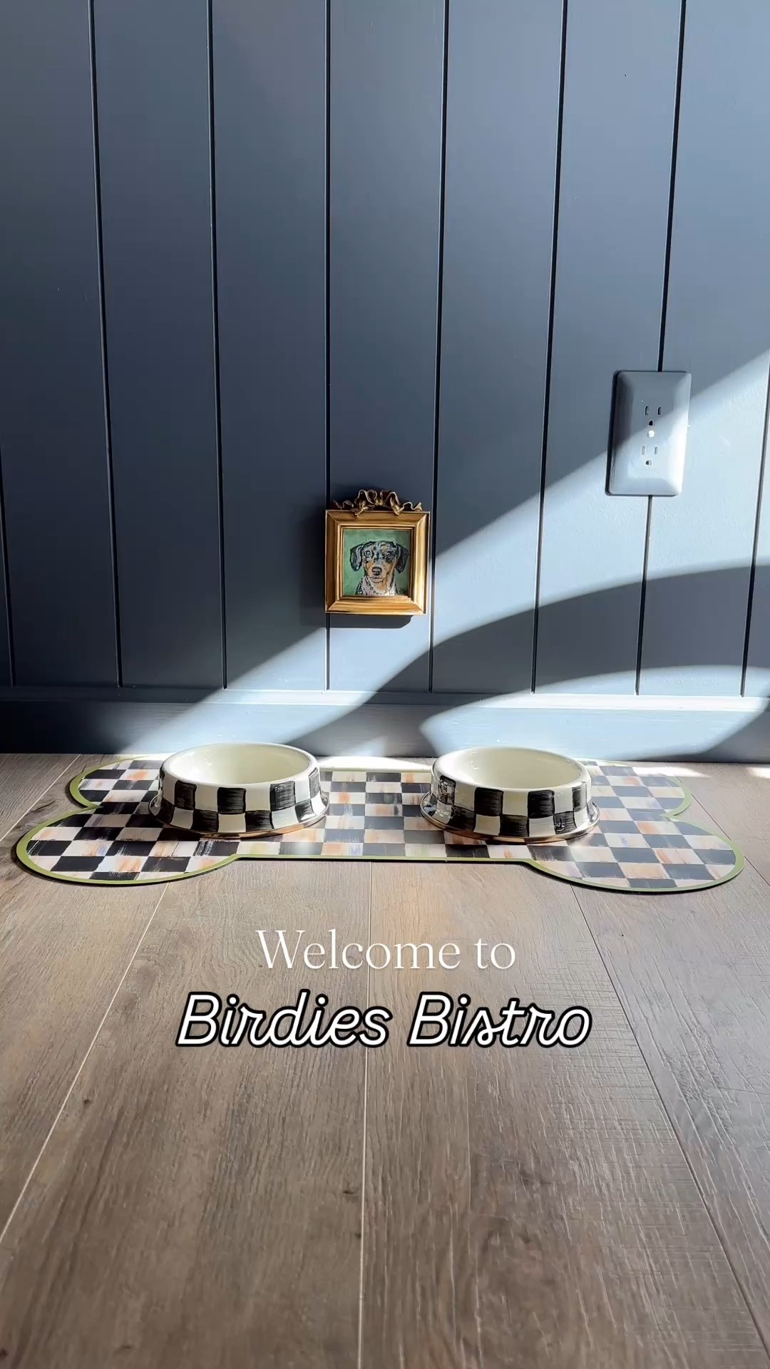 How cute is birdies new little feeding station?

Checkered dog bowls, dog bone mat, dog food area, pet portrait, McKenzie child’s dog bowls and mat, pet supplies, puppy

#LTKFindsUnder50 #LTKHome #LTKdayinmylife