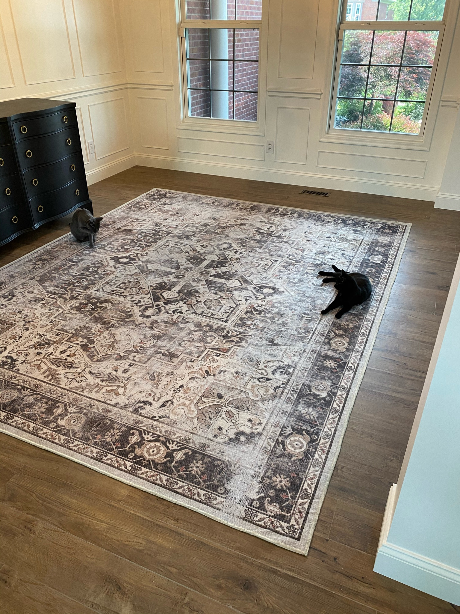 Kitties loving the Kamran hazel rug from Ruggable. Vintage rug, washable rug 

#LTKStyleTip #LTKHome