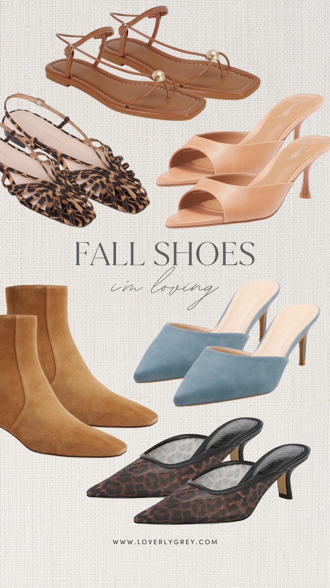 These fall shoes for women are making me want to plan outfits immediately! From suede ankle boots and leopard heels to feminine sandals and blue mules, there’s such a fun mix of everyday and dressier options here. I especially love finding shoes that can transition from early fall into cooler weather and make basics feel completely new.

#LTKSeasonal #LTKgrwm