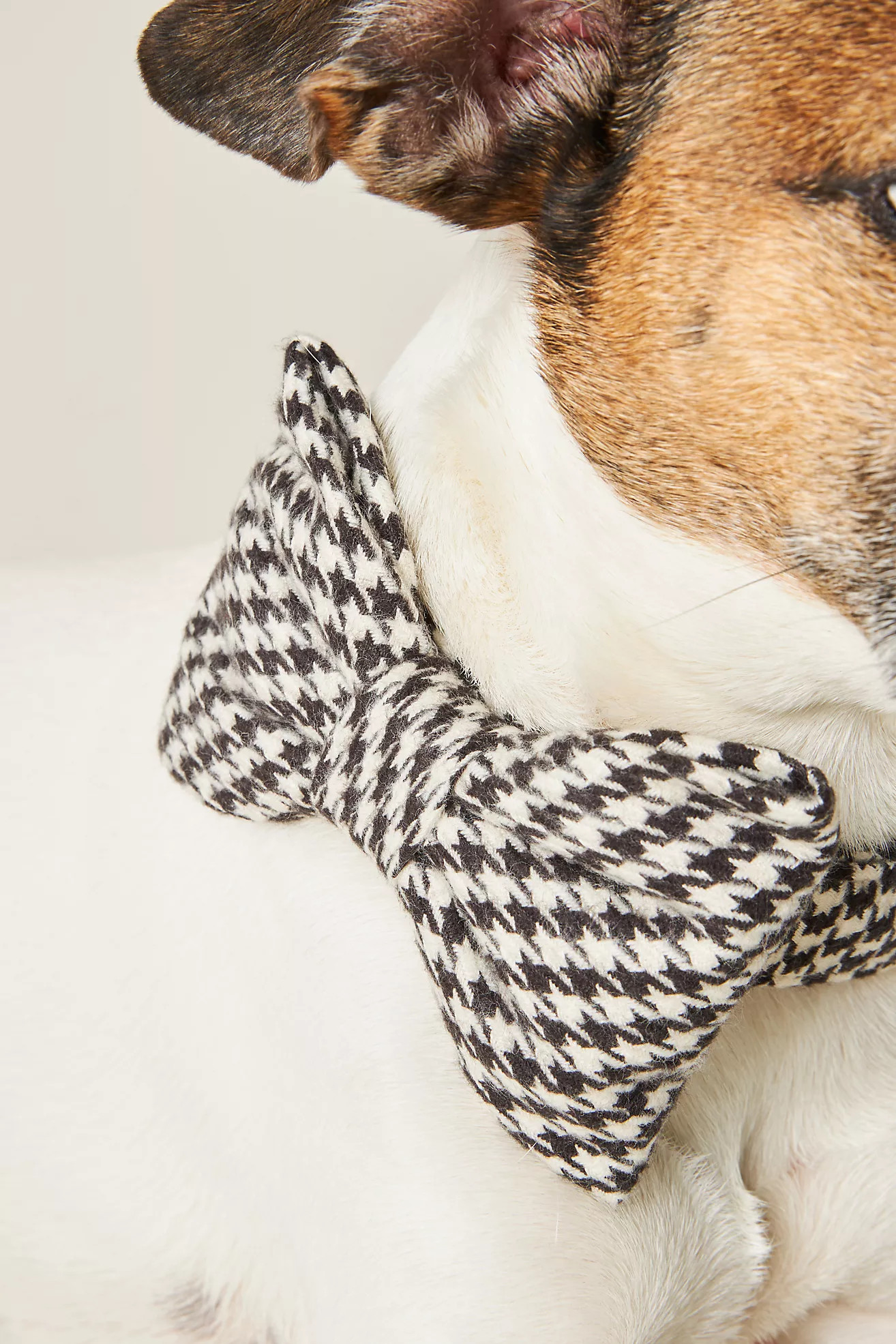 The Foggy Dog Fall Bow Tie | Anthropologie (US)