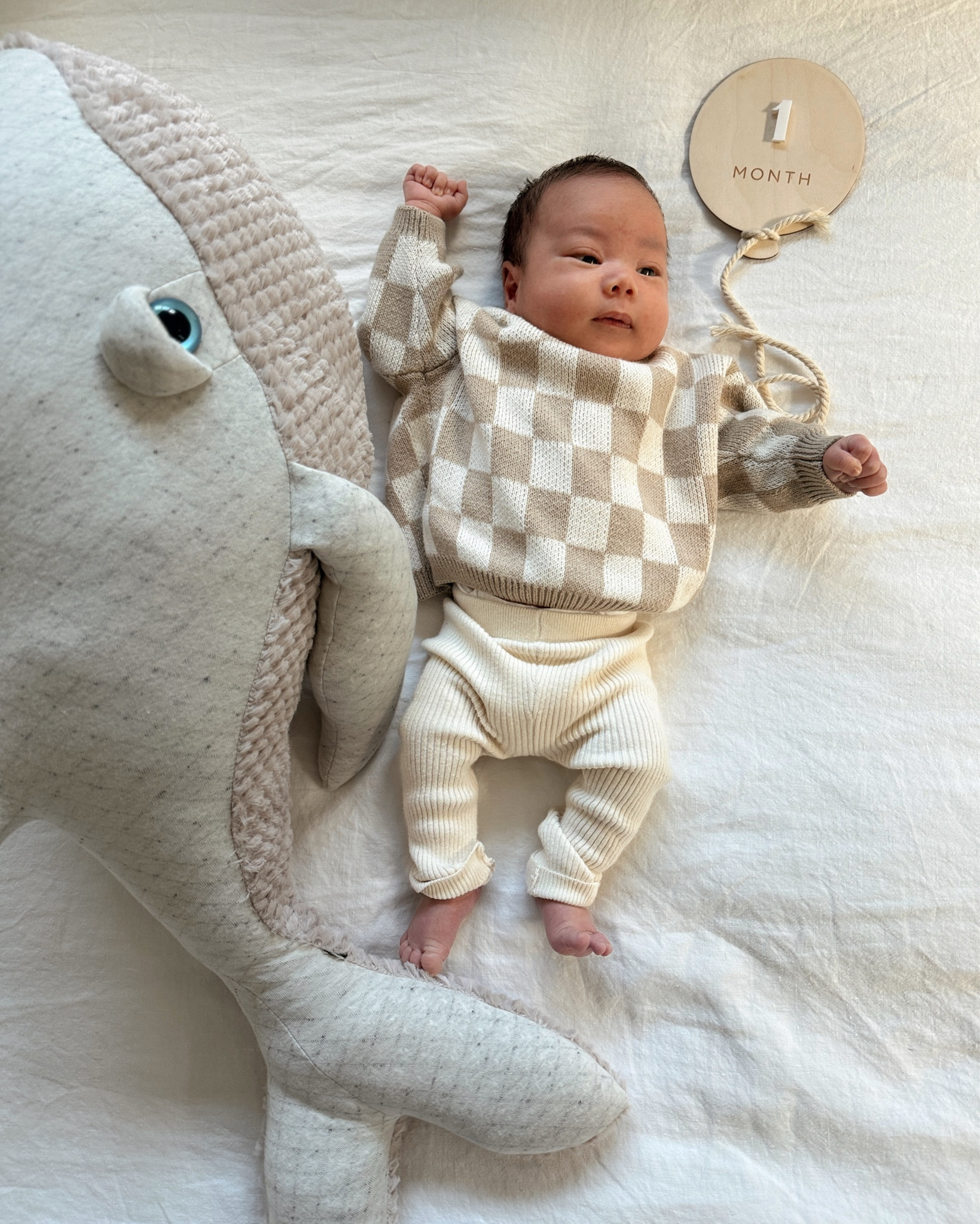 Baby clothes, milestone pictures props


#LTKfindsunder50 #LTKbaby #LTKfamily