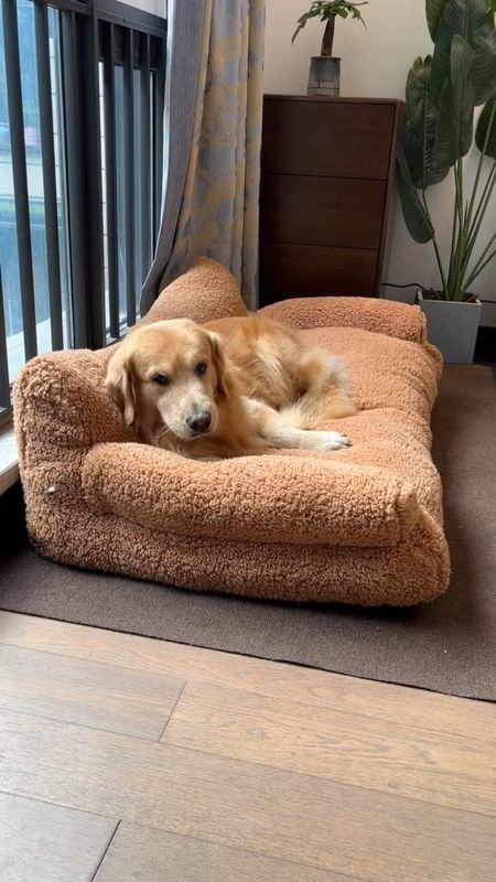 🌟 Introducing the Calming Pet Sofa – where comfort meets style for your fur babies! 🐾✨ Super Nice Quality that screams luxury for your pets and adds a touch of sophistication to your living space. This plush and comfy haven is a haven for your furry friends, ensuring they nap in style and cuddle with the utmost coziness! #founditonamazon #amazonpets
Grab Yours Here: https://amzn.to/3NVJG2a

🌈 Worried about those unexpected pet messes? Fret not! The Calming Pet Sofa is not only easy to clean but also a breeze to maintain, making life with pets a stress-free dream. 🧼💫 It's like magic, but for your furniture! #amazonfinds #dogbed

🐶🐱 Did we mention that dogs and cats absolutely adore it? We've seen tails wagging and purrs of contentment – it's like a pet-approved paradise! 🥰❤️ Plus, it goes well with all decor, so you don't have to sacrifice style for comfort. Your home will look paw-sitively fabulous!

🚀 Elevate your pet's lounging experience with the Calming Pet Sofa – because every pet deserves a throne, and every pet parent deserves a stylish home! 🏡✨ Grab yours now and let the relaxation and cuteness overload commence! 🛋️🐾 #CalmingPetSofa #PetApproved #HomeSweetHome

#LTKfamily #LTKVideo #LTKhome