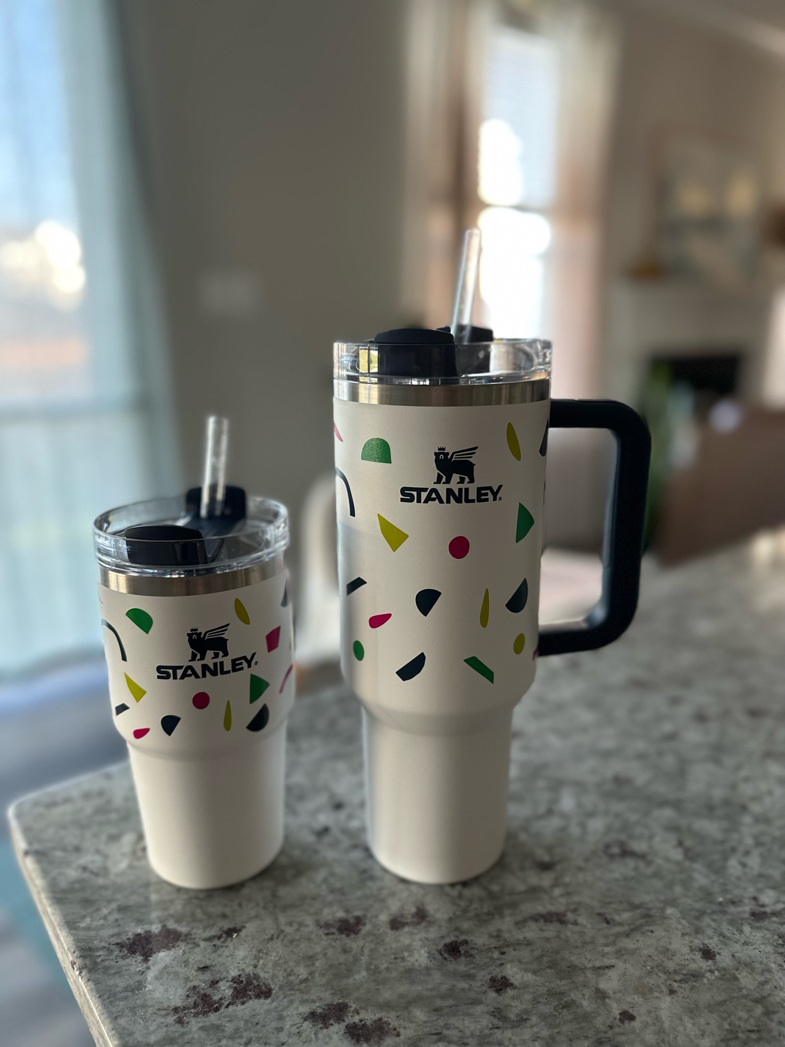 // ✨ Matching Stanley✨// 