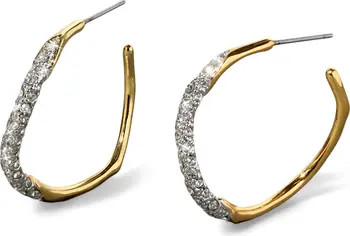 Solanales Crystal Pavé Hoop Earrings | Nordstrom