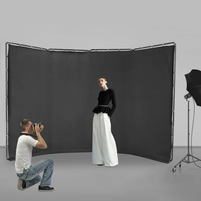 Photography Backdrop Stand with Black Cloth (94.49'' H X 157.48'' W) | Wayfair North America