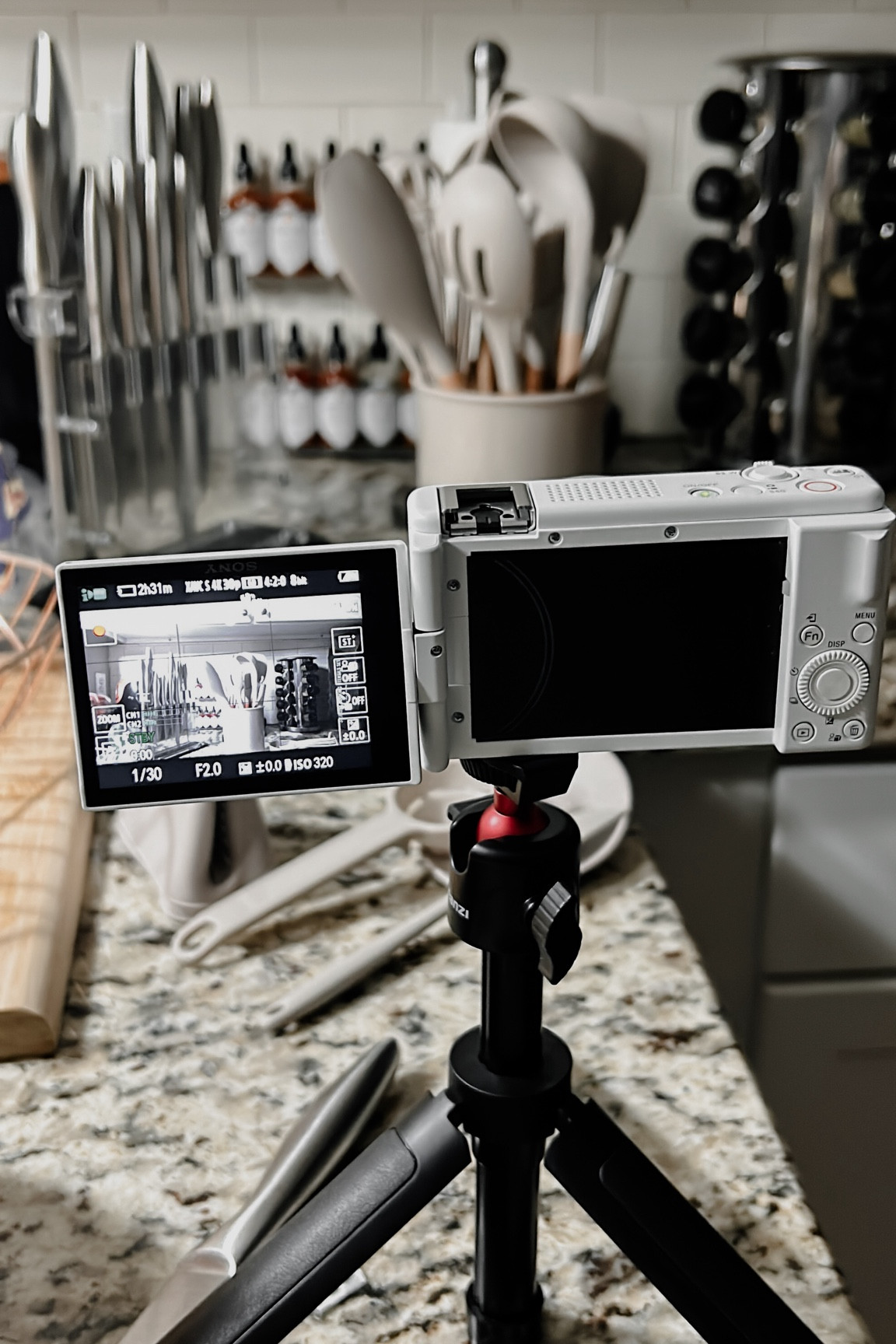 Love this vlogging camera REALL bad! It’s perfect for beginner vloggers! 📷 this is the camera I’ve used in all of my videos this year!

#LTKVideo