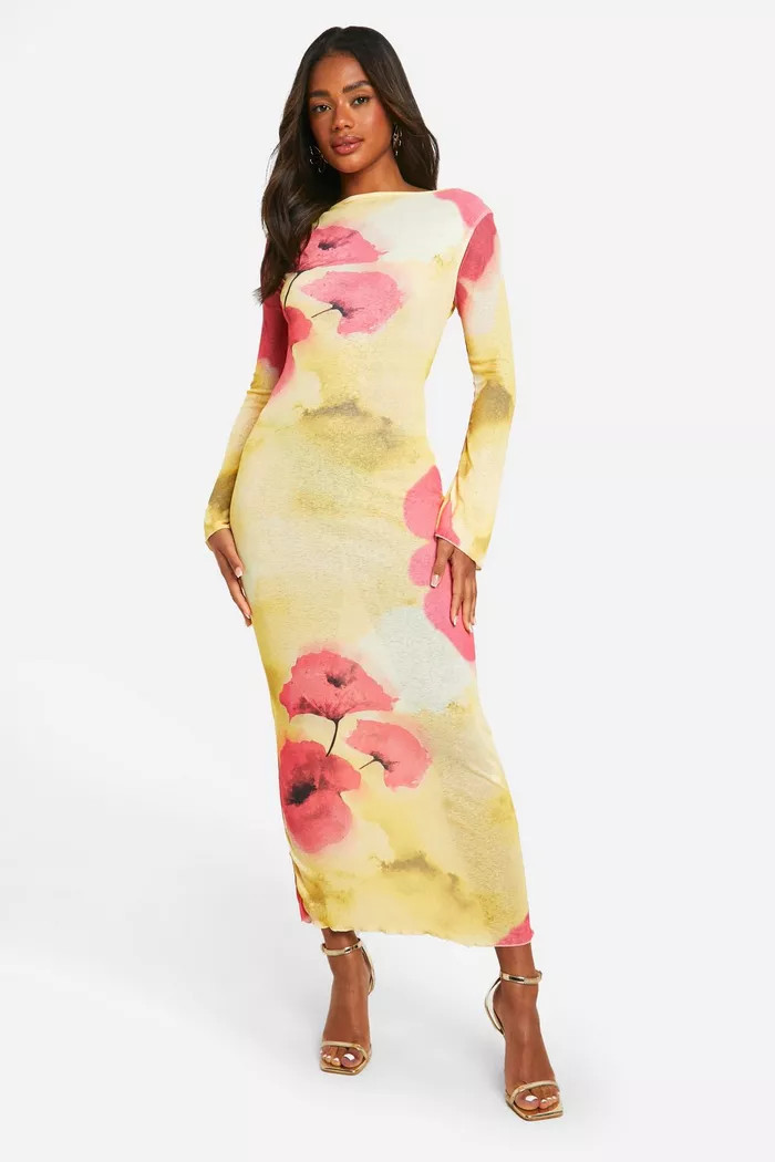 Sheer Scoop Back Floral Maxi Dress | boohoo (US & Canada)