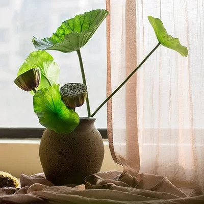 Rustic Seed and Leaf Lotus Stem | Wayfair North America