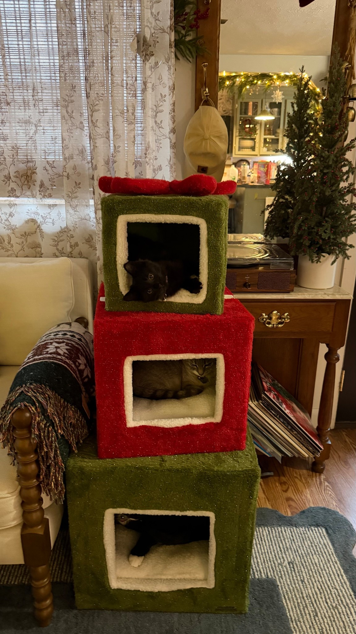 🎁cat tree🎄




#LTKHoliday #LTKSeasonal