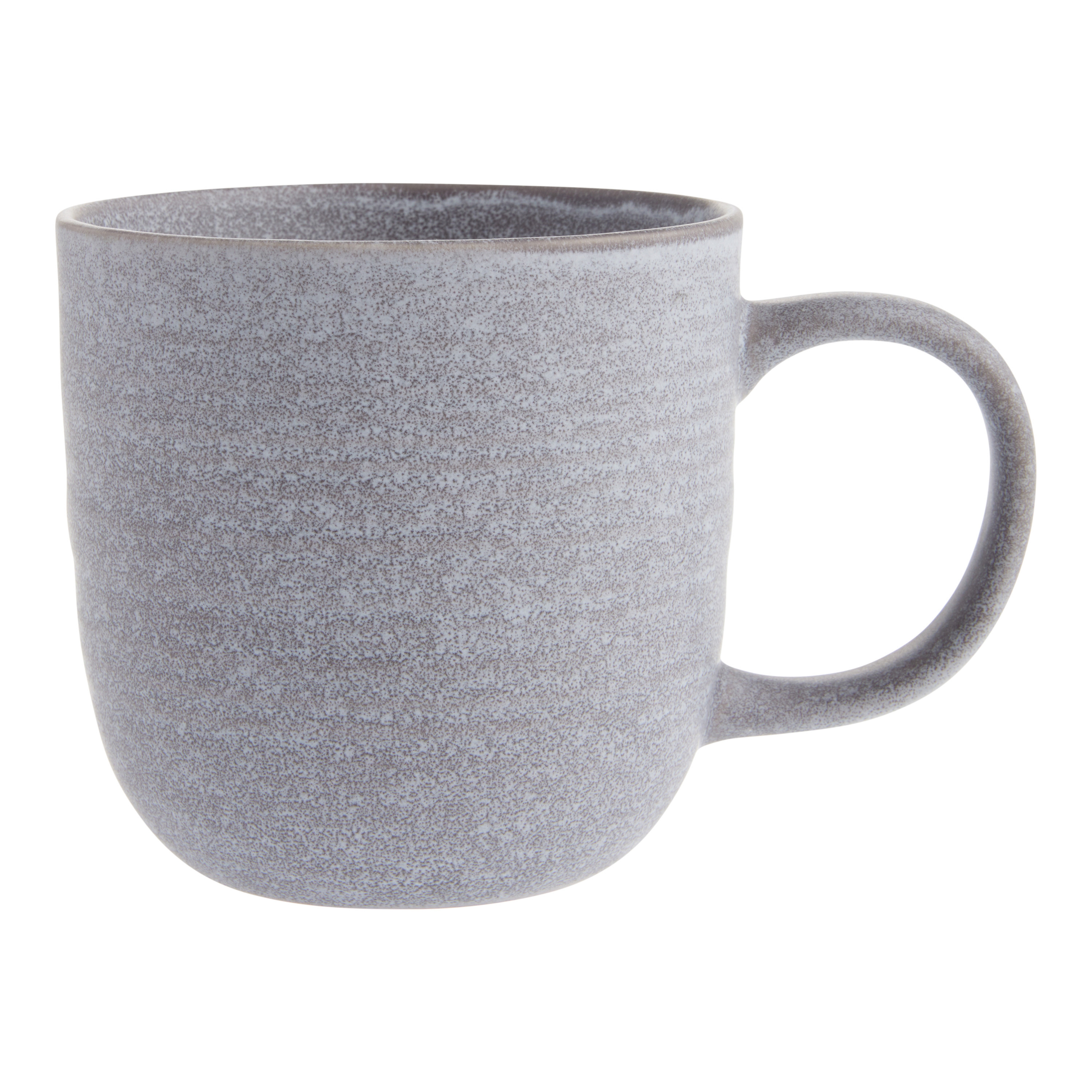Ash Satin Gray Speckled Ceramic Mug | World Market