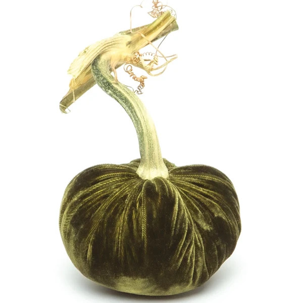 Moss Silk Velvet Pumpkin | Hot Skwash