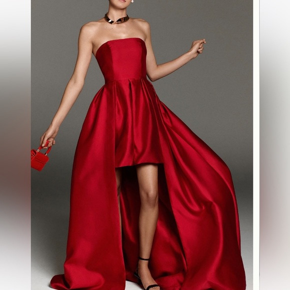 Hutch strapless bubble dress worn once. Cleaned. | Poshmark